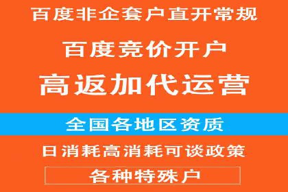 竞价推广代运营服务，助力企业快速扩张
